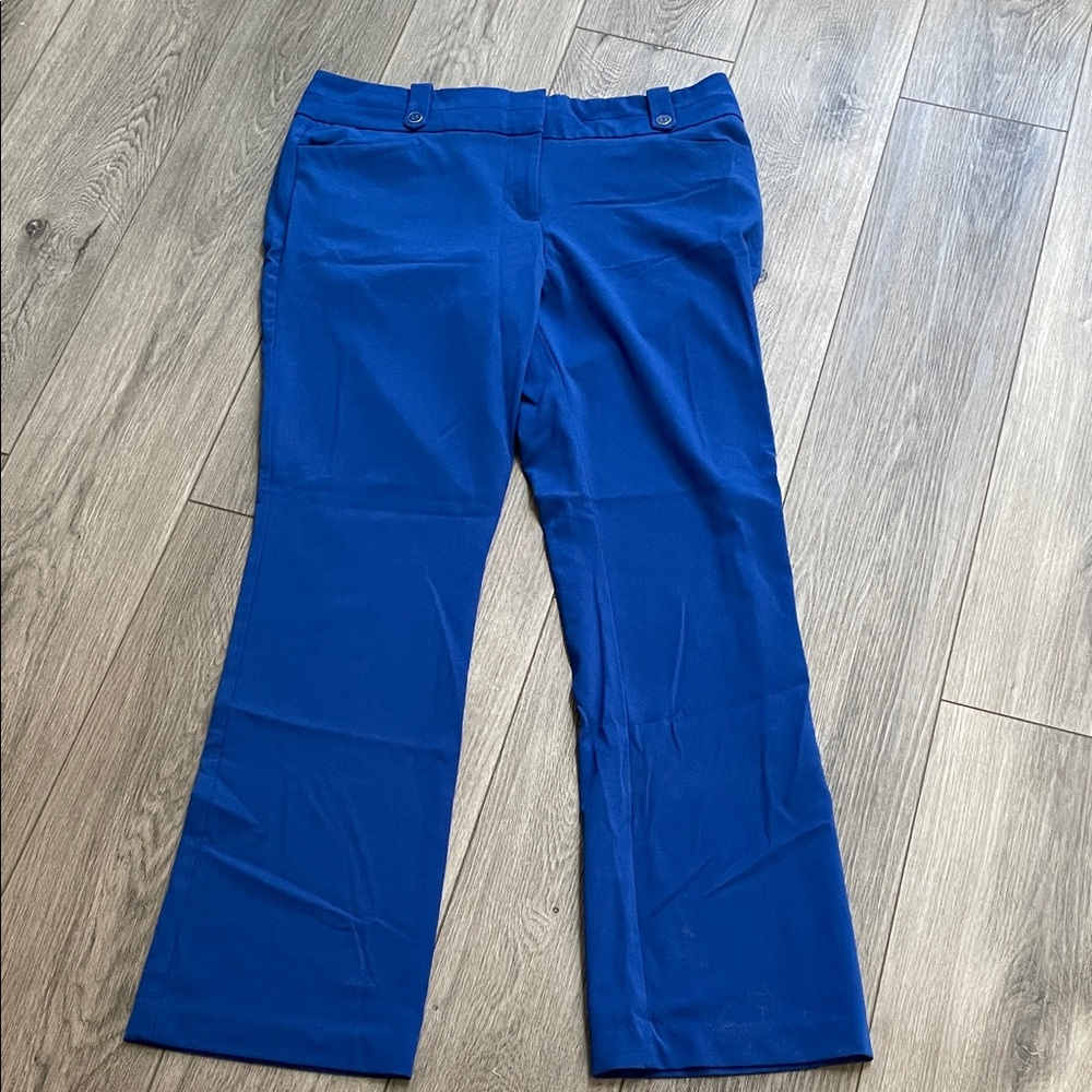 New York & Company Vibrant Blue Garment